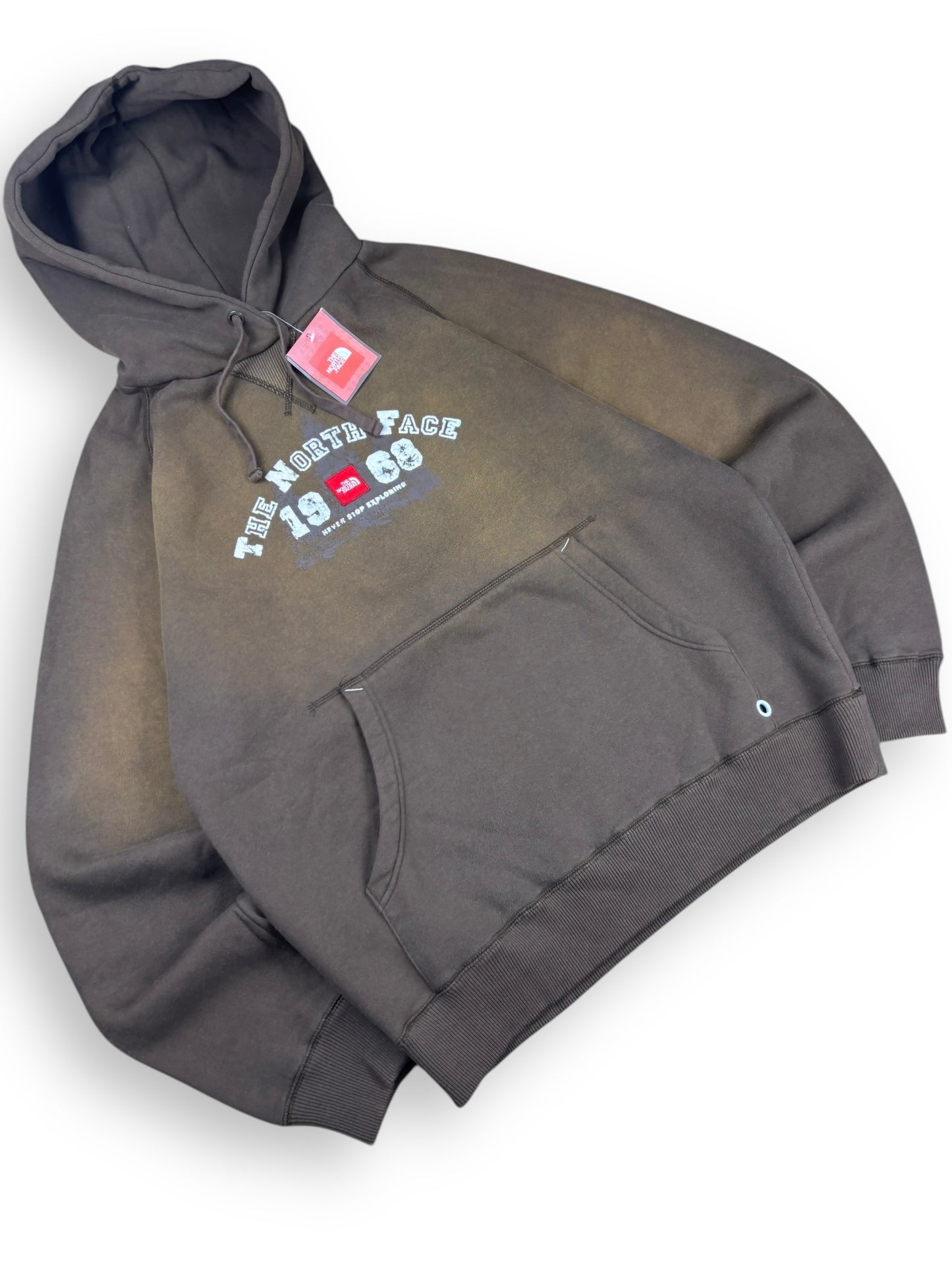 Deadstock 2008 The North face heavyweight hoodie - L