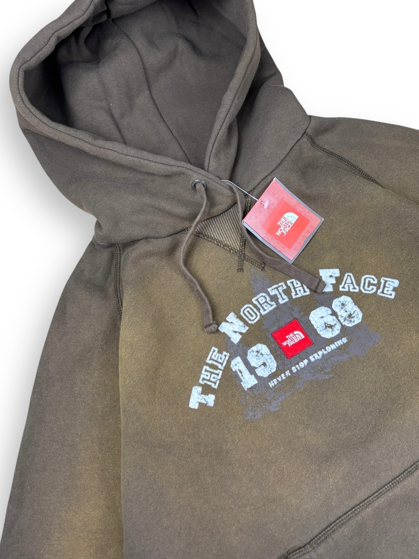 Deadstock 2008 The North face heavyweight hoodie - L
