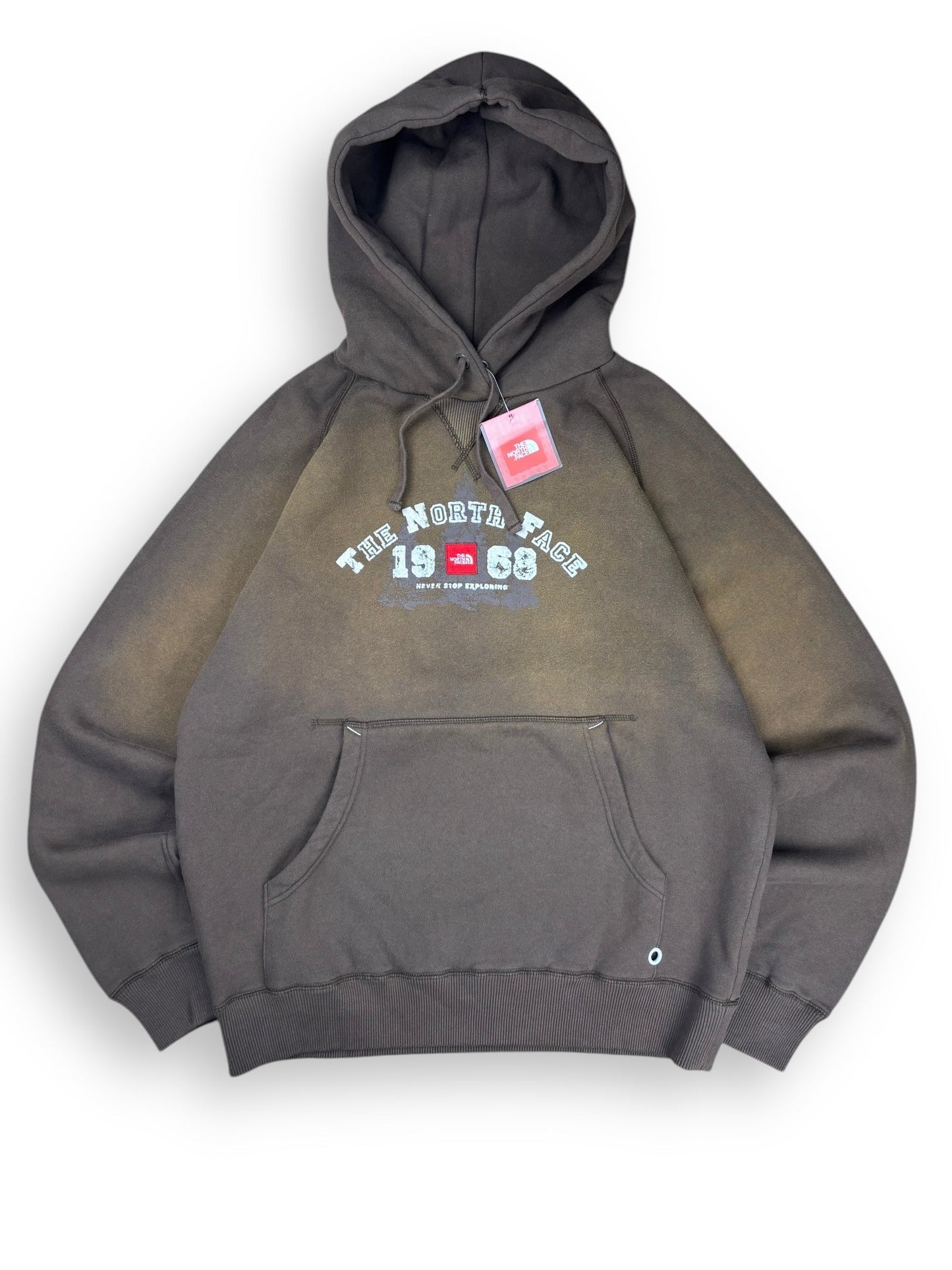 Deadstock 2008 The North face heavyweight hoodie - L